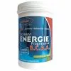 Fenioux Multi-Sports FENIOUX Multisports Boisson énergie Progressive BCAA Citron Vert / Menthe - 600g