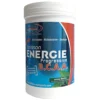 Fenioux Multi-Sports FENIOUX Multisports Boisson énergie Progressive BCAA Menthe - 600g