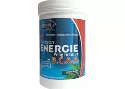 Fenioux Multi-Sports FENIOUX Multisports Boisson énergie Progressive BCAA Menthe - 600g