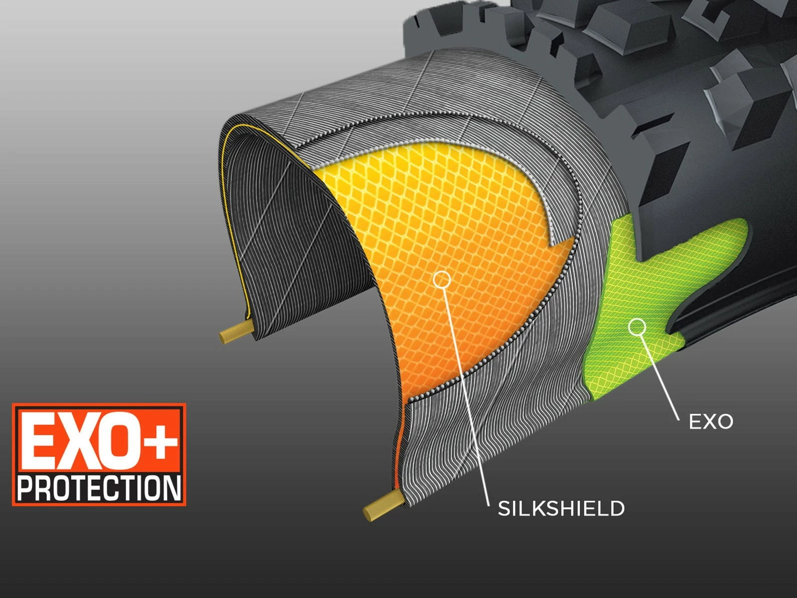 MAXXIS Minion DHF Pneu Souple MaxxTerra Exo+ WT TR - 27,5 X 2,6 Pouces – Image 7