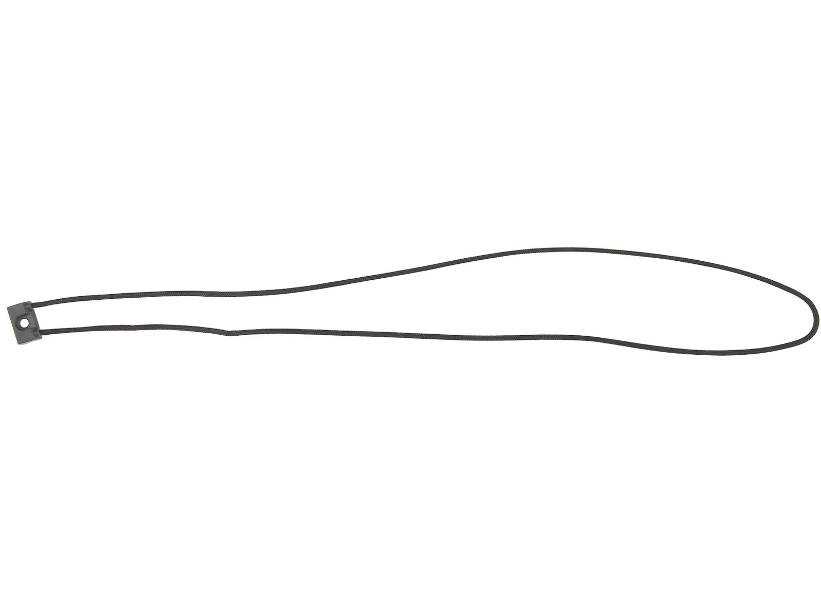 WAHOO FITNESS Cordon D'attache Pour GPS ELEMNT BOLT